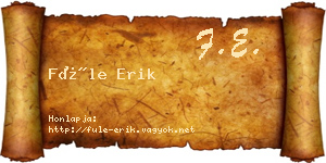 Füle Erik névjegykártya